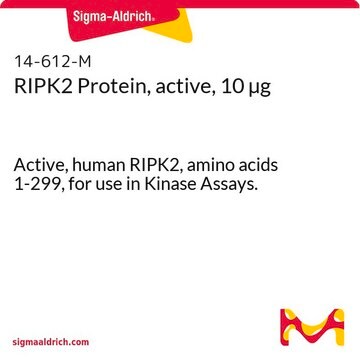 RIPK2 Protein, active, 10 &#181;g Active, human RIPK2, amino acids 1-299, for use in Kinase Assays.