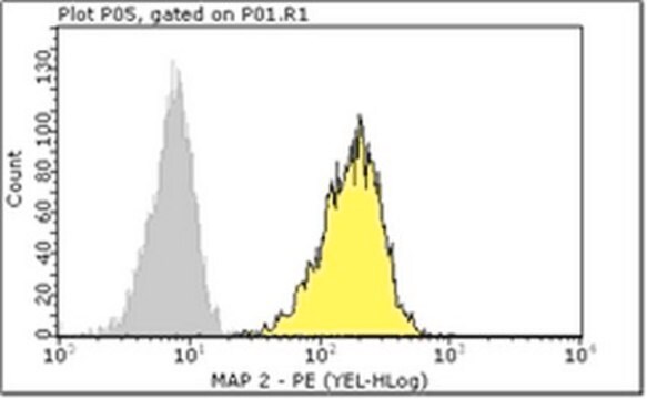 Milli-Mark&#174; Anti-MAP2-PE Antibody, clone AP20 clone AP20, Milli-Mark&#174;, from mouse