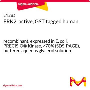 ERK2, active, GST tagged human recombinant, expressed in E. coli, PRECISIO&#174; Kinase, &#8805;70% (SDS-PAGE), buffered aqueous glycerol solution