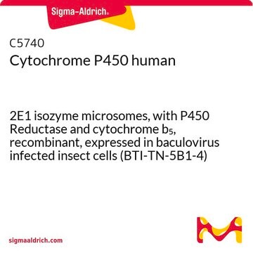 シトクロムP450 ヒト 2E1 isozyme microsomes, with P450 Reductase and cytochrome b5, recombinant, expressed in baculovirus infected insect cells (BTI-TN-5B1-4)