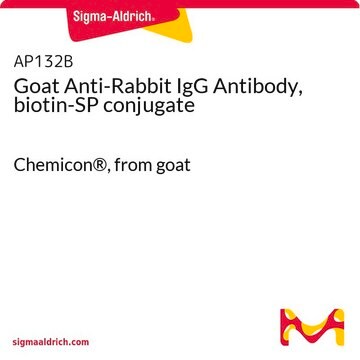 Goat Anti-Rabbit IgG Antibody, biotin-SP conjugate Chemicon&#174;, from goat