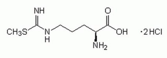 S-Methyl-L-thiocitrulline, Dihydrochloride A cell-permeable inhibitor of nitric oxide synthase that exhibits about 17-fold greater selectivity for rat neuronal nitric oxide synthase (IC&#8325;&#8320; = 300 nM) compared to the endothelial enzyme (IC&#8325;&#8320; = 5.4 &#181;M).