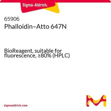 Phalloidin–Atto 647N BioReagent, suitable for fluorescence, &#8805;80% (HPLC)