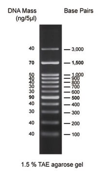 DirectLoad&#8482; Plus 100bp High DNA Ladder