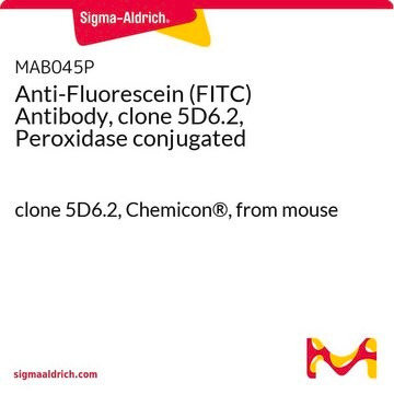 Anti-Fluorescein (FITC) Antibody, clone 5D6.2, Peroxidase conjugated clone 5D6.2, Chemicon&#174;, from mouse