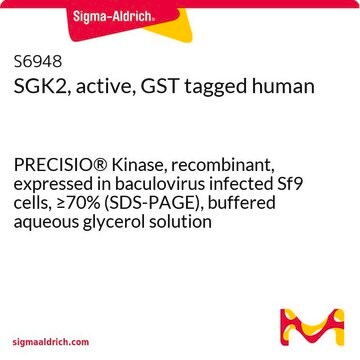 SGK2, active, GST tagged human PRECISIO&#174; Kinase, recombinant, expressed in baculovirus infected Sf9 cells, &#8805;70% (SDS-PAGE), buffered aqueous glycerol solution