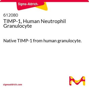 TIMP-1, Human Neutrophil Granulocyte Native TIMP-1 from human granulocyte.