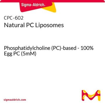 Natural PC Liposomes Phosphatidylcholine (PC)-based - 100% Egg PC (5mM)