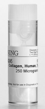 Corning&#174; Collagen IV from human, pack of 0.25&#160;mg