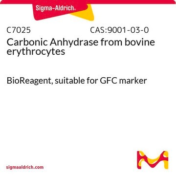 Carbonic Anhydrase from bovine erythrocytes BioReagent, suitable for GFC marker