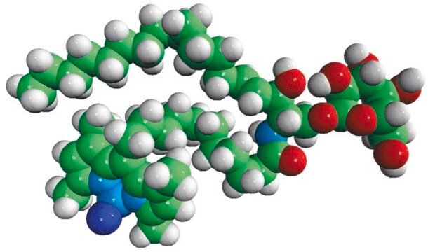 C11 TopFluor&#8482; Galactosyl Ceramide N-[11-(dipyrrometheneboron difluoride)undecanoyl]-D-galactosyl-&#946;1-1&#8242;-D-erythro-sphingosine, powder