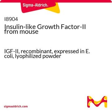 Insulin-like Growth Factor-II from mouse IGF-II, recombinant, expressed in E. coli, lyophilized powder