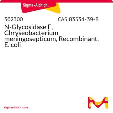 N-Glycosidase F, Chryseobacterium meningosepticum, Recombinant, E. coli