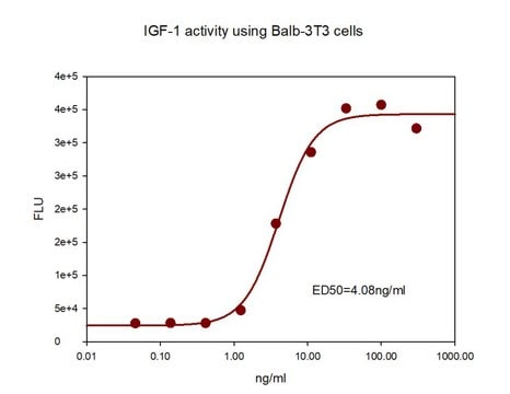 IGF-I(インスリン様増殖因子I) ヒト Animal-component free, recombinant, expressed in E. coli, suitable for cell culture