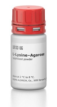 L-Lysine–Agarose lyophilized powder