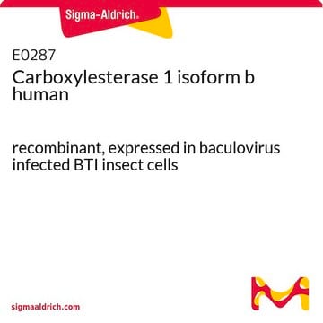 Carboxylesterase 1 isoform b human recombinant, expressed in baculovirus infected BTI insect cells