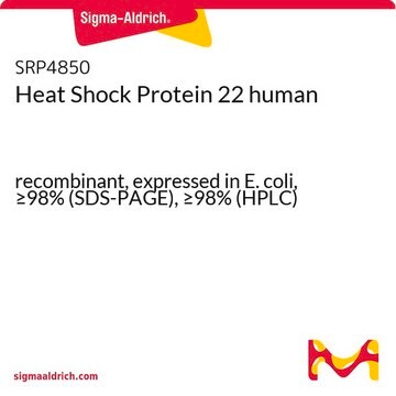 Heat Shock Protein 22 human recombinant, expressed in E. coli, &#8805;98% (SDS-PAGE), &#8805;98% (HPLC)