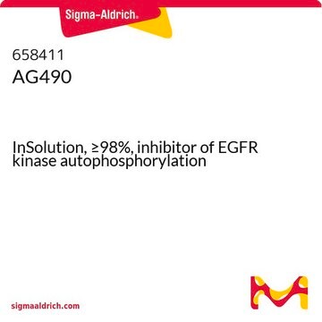 AG490 InSolution, &#8805;98%, inhibitor of EGFR kinase autophosphorylation