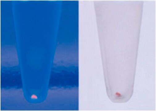 Pellet Paint&#174; NF Co-Precipitant Non-fluorescent visible DNA co-precipitant for automated sequencing applications