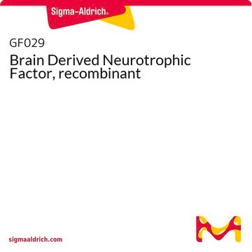 Brain Derived Neurotrophic Factor, recombinant