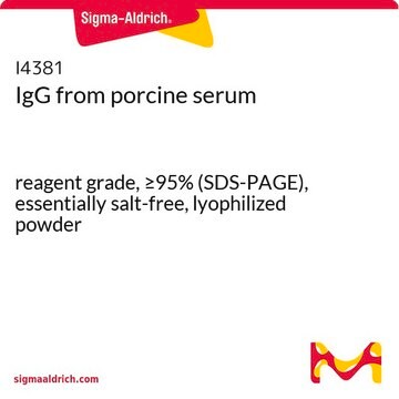 IgG from porcine serum reagent grade, &#8805;95% (SDS-PAGE), essentially salt-free, lyophilized powder