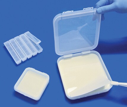 Scienceware&#174; gel incubating tray W × L 1.6&#160;cm (0.63&#160;in.) × 11.5&#160;cm (4.5&#160;in.)