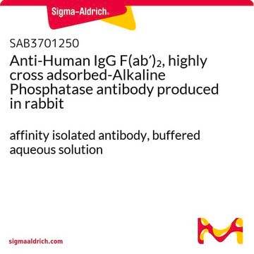 Anti-Human IgG F(ab&#8242;)2, highly cross adsorbed-Alkaline Phosphatase antibody produced in rabbit affinity isolated antibody, buffered aqueous solution