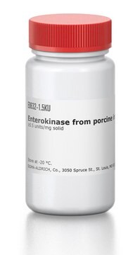 Enterokinase from porcine intestine &#8805;0.5&#160;units/mg solid