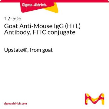 Goat Anti-Mouse IgG (H+L) Antibody, FITC conjugate Upstate&#174;, from goat