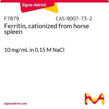 Ferritin, cationized from horse spleen 10&#160;mg/mL in 0.15 M NaCl