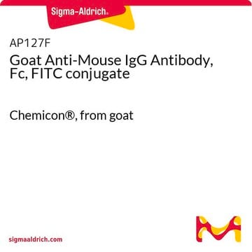 Goat Anti-Mouse IgG Antibody, Fc, FITC conjugate Chemicon&#174;, from goat