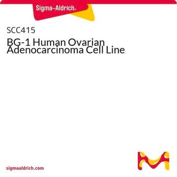 BG-1 Human Ovarian Adenocarcinoma Cell Line