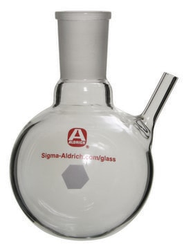 Aldrich&#174; round-bottom flask with septum-inlet capacity 100&#160;mL, joint: ST/NS 19/22