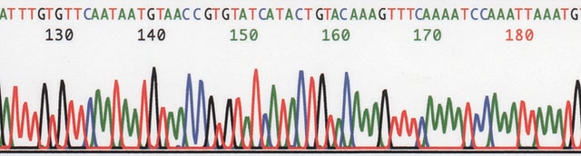 REDExtract-N-Amp&#8482; Seed PCR Kit sufficient for 100&#160;extractions, sufficient for 100&#160;amplifications