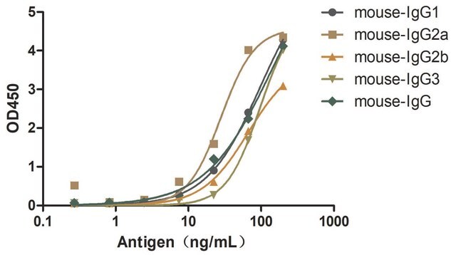 Alpaca Anti-Mouse IgG(Fc&#947;) single domain Antibody recombinant Alpaca(VHH) Nano antibody