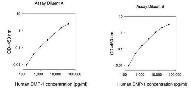 Human DMP1 / Dentin Matrix Acidic Phosphoprotein 1 ELISA Kit for serum, plasma, cell culture supernatants and urine