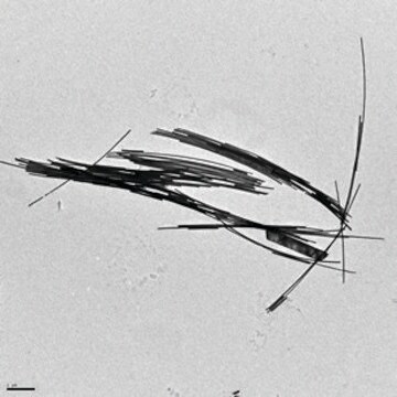 Gold nanowires diam. × L 30&#160;nm × 6,000&#160;nm, dispersion (H2O)