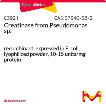 Creatinase from Pseudomonas sp. recombinant, expressed in E. coli, lyophilized powder, 10-15&#160;units/mg protein