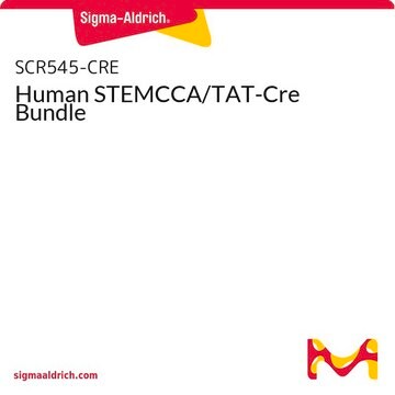 Human STEMCCA/TAT-Cre Bundle