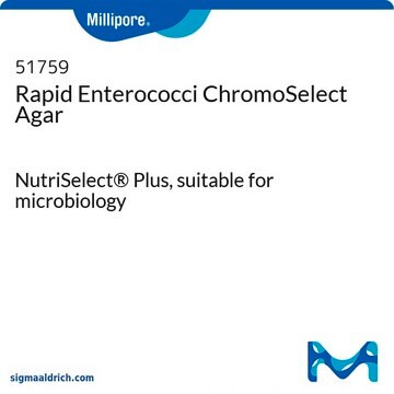 Rapid Enterococci ChromoSelect Agar NutriSelect&#174; Plus, suitable for microbiology