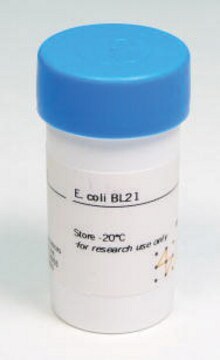 E. coli BL21 Cytiva 27-1542-01, pack of 1&#160;vial