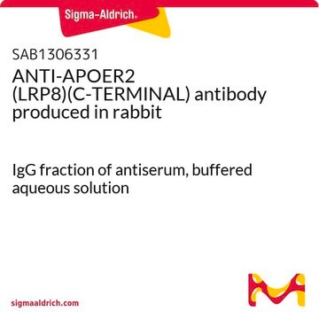 ANTI-APOER2 (LRP8)(C-TERMINAL) antibody produced in rabbit IgG fraction of antiserum, buffered aqueous solution