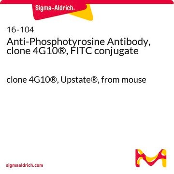 Anti-Phosphotyrosine Antibody, clone 4G10&#174;, FITC conjugate clone 4G10®, Upstate&#174;, from mouse