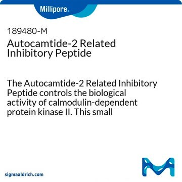 Autocamtide-2 Related Inhibitory Peptide The Autocamtide-2 Related Inhibitory Peptide controls the biological activity of calmodulin-dependent protein kinase II. This small molecule/inhibitor is primarily used for Phosphorylation &amp; Dephosphorylation applications.