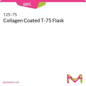 Collagen Coated T-75 Flask