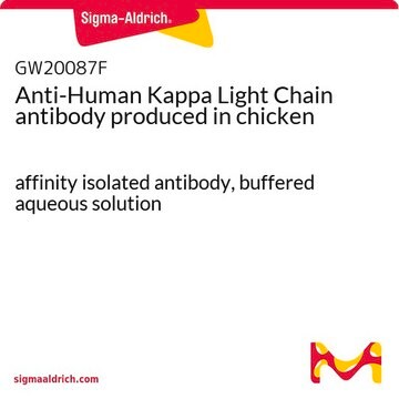 Anti-Human Kappa Light Chain antibody produced in chicken affinity isolated antibody, buffered aqueous solution