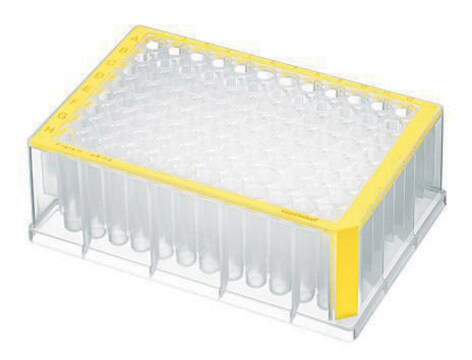 Eppendorf&#174; Deepwell Plate 96/1000&#956;L sterile, volume 1000&#160;&#956;L, yellow border with clear wells, pkg of 20&#160;plates (5 bags x 4 plates)