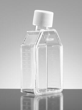 Corning&#174; Falcon&#174; Cell Culture Flask capacity 50&#160;mL, canted neck, graduated, 5 &#8209; 50&#160;mL, cap, blue plug seal