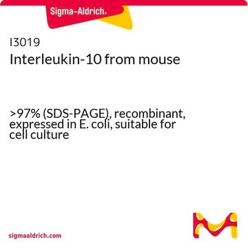 Interleukin-10 from mouse &gt;97% (SDS-PAGE), recombinant, expressed in E. coli, suitable for cell culture