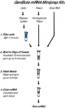 GenElute&#8482; Direct mRNA Miniprep Kits sufficient for 70&#160;purifications